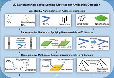 Low-Dimension Nanomaterial-Based Sensing Matrices for Antibiotics Detection: A Mini Review